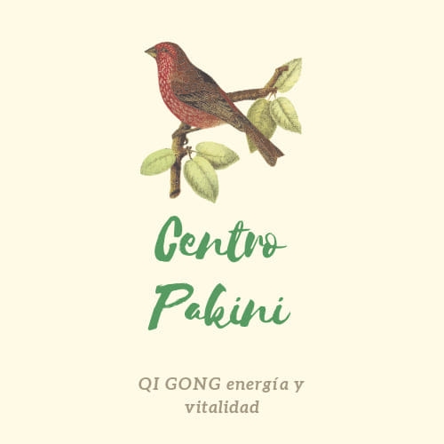 Centro Pakini