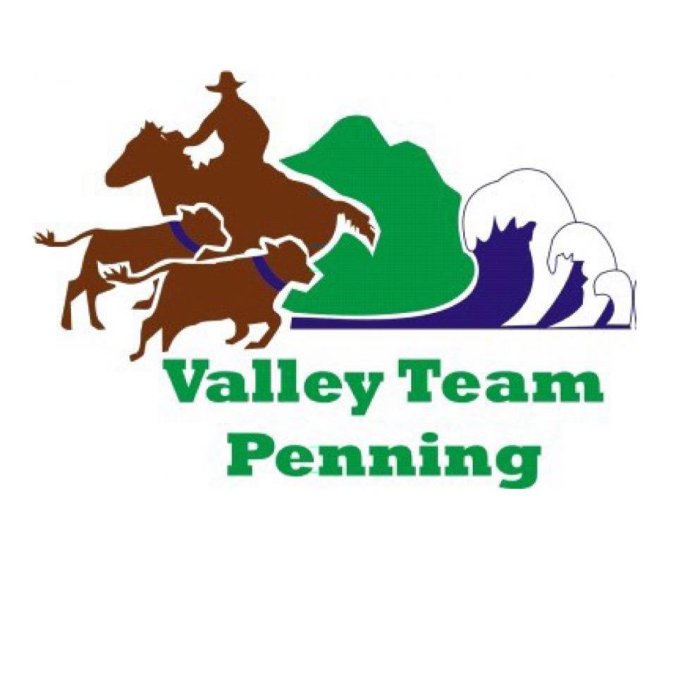 Victorian Paint Horse Association inc | Please find below, the link to ...