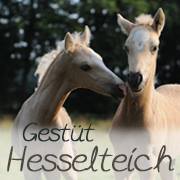 Gestüt Hesselteich