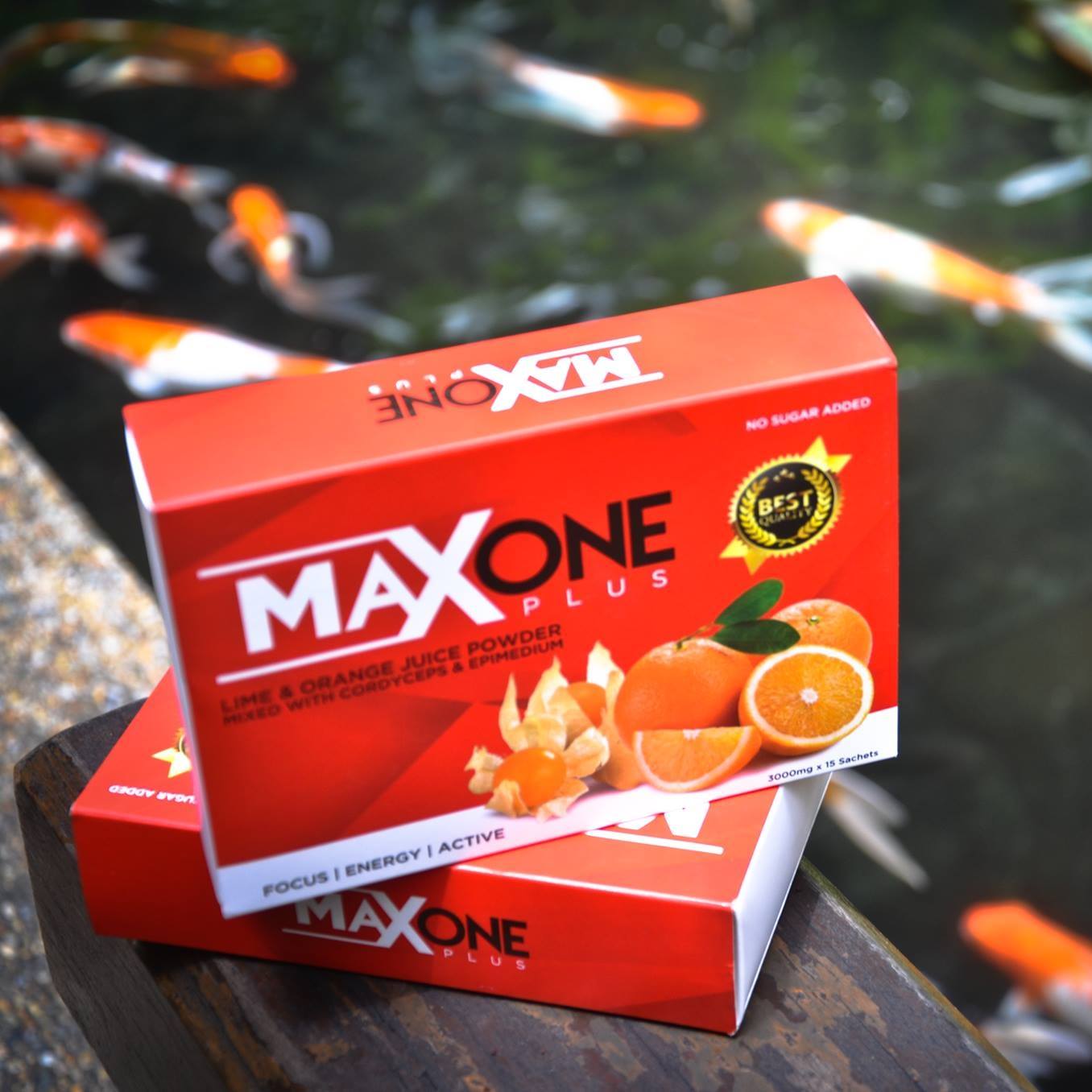 Maxoneplus Malaysia
