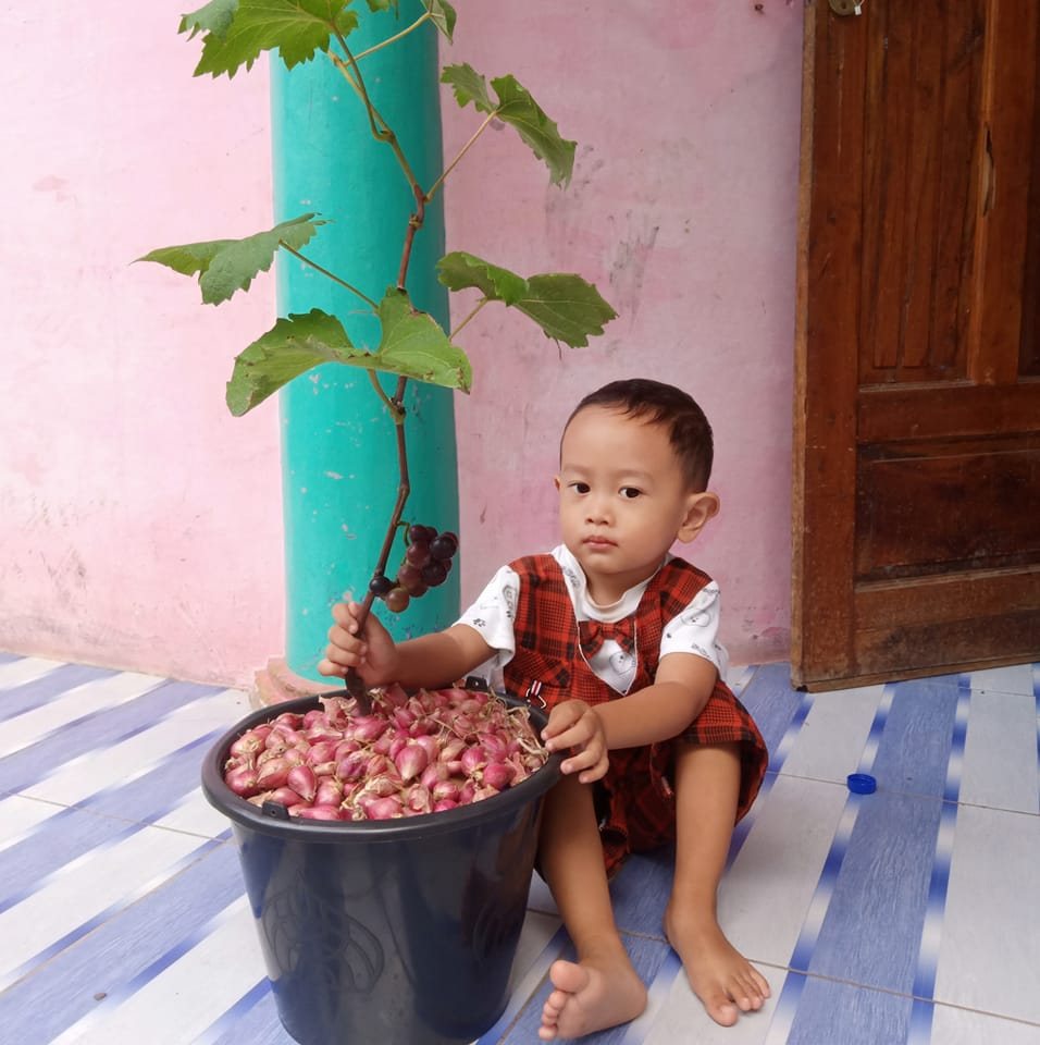 Lagi2 berita tentang MBG yg sllu buat pro dan kontra alhamdulillah di ...