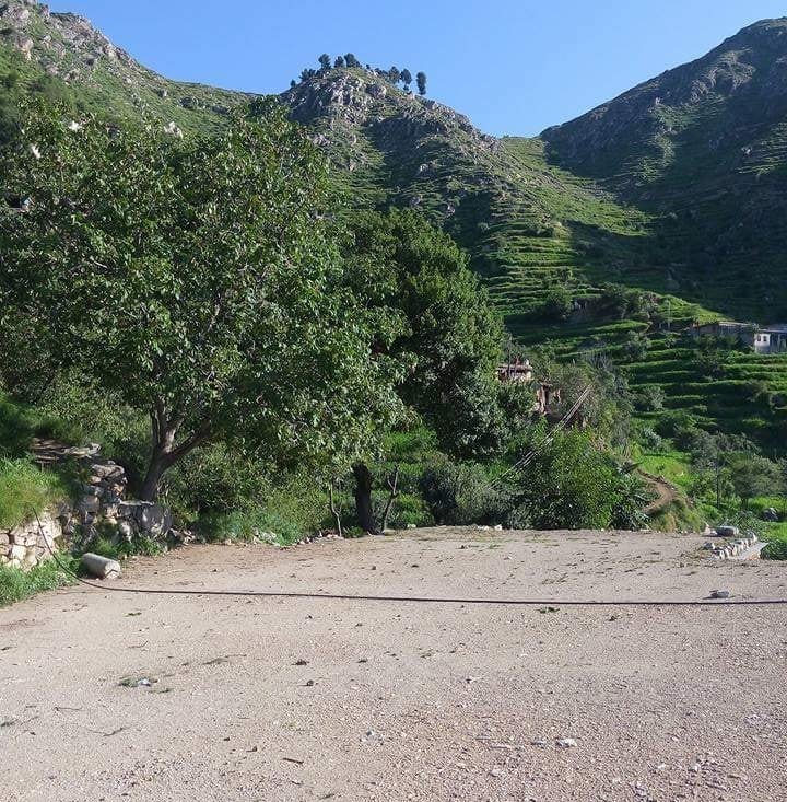 تور لونگ دانی دانی