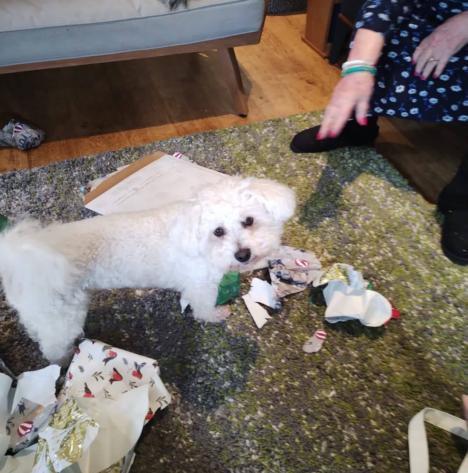 House and pet sitters UK | Hi All! | Facebook