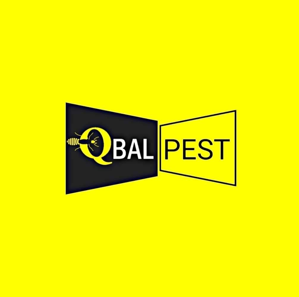 Qbal Pest