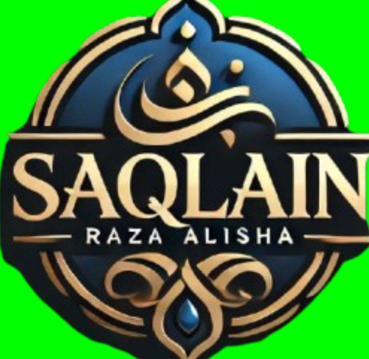 Saqlain Raza Gayawi