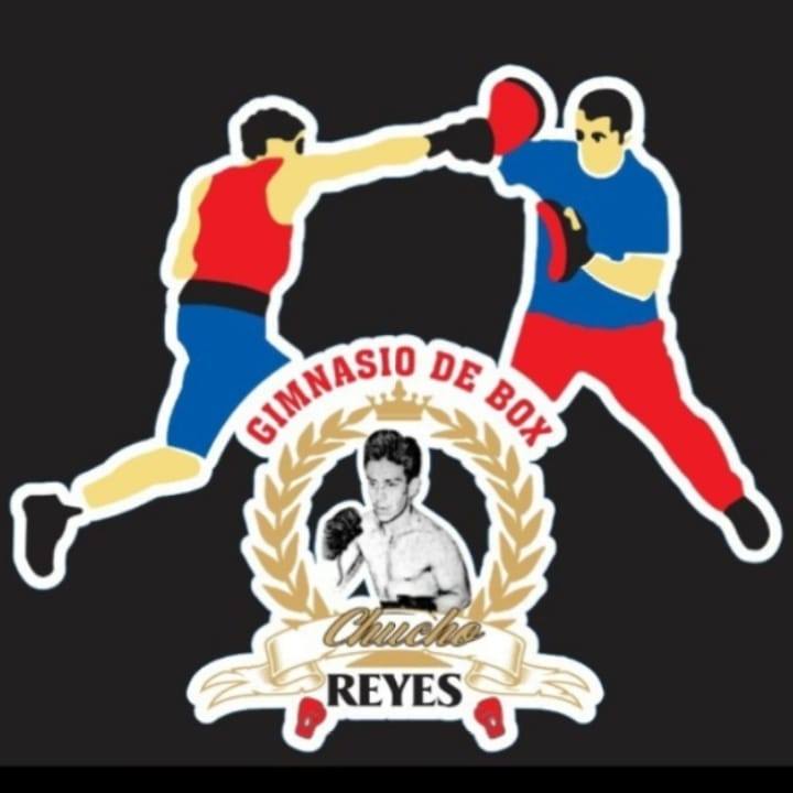 BOX Chucho Reyes | Tezontepec