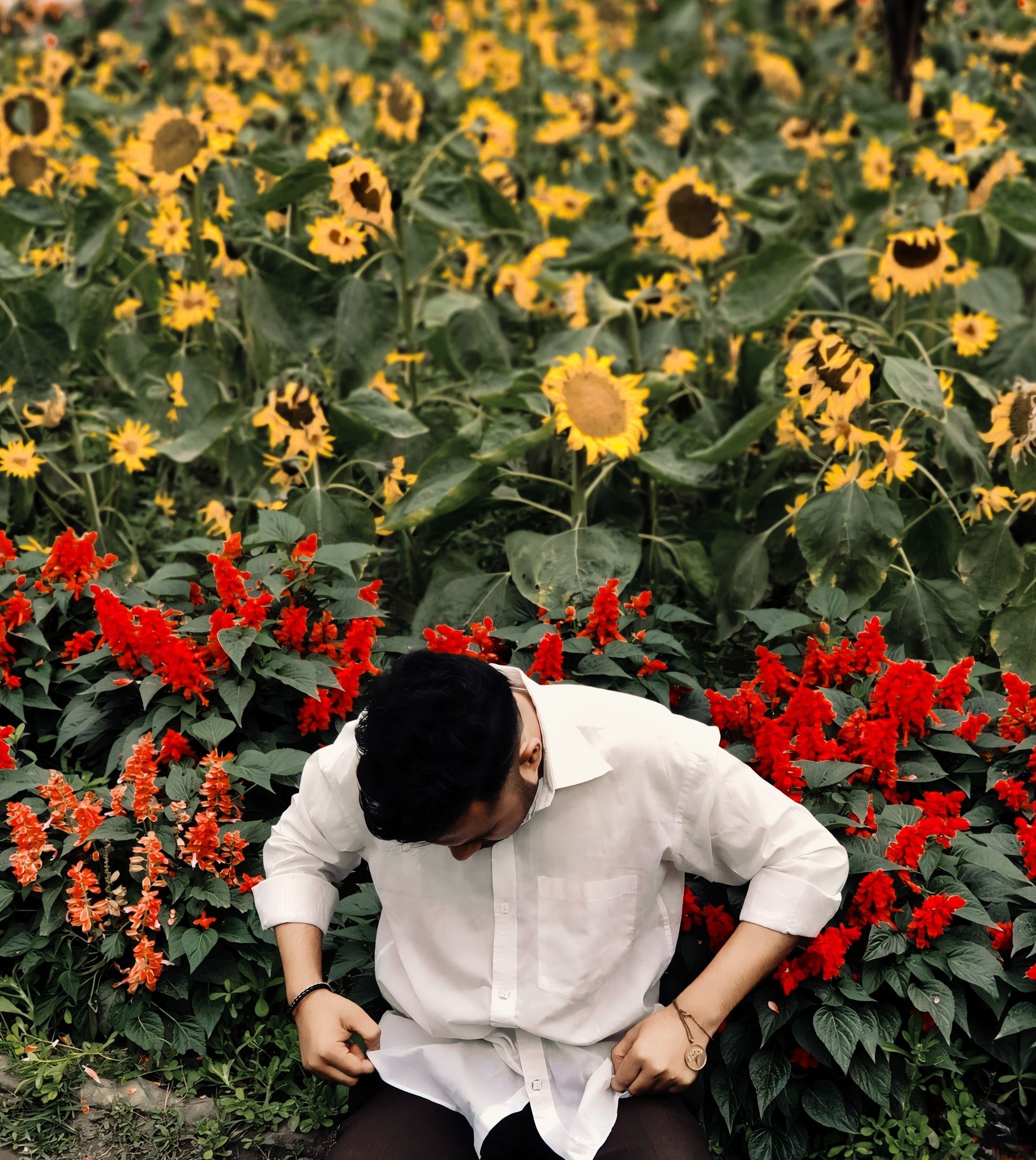 Humayun Rashid Emon