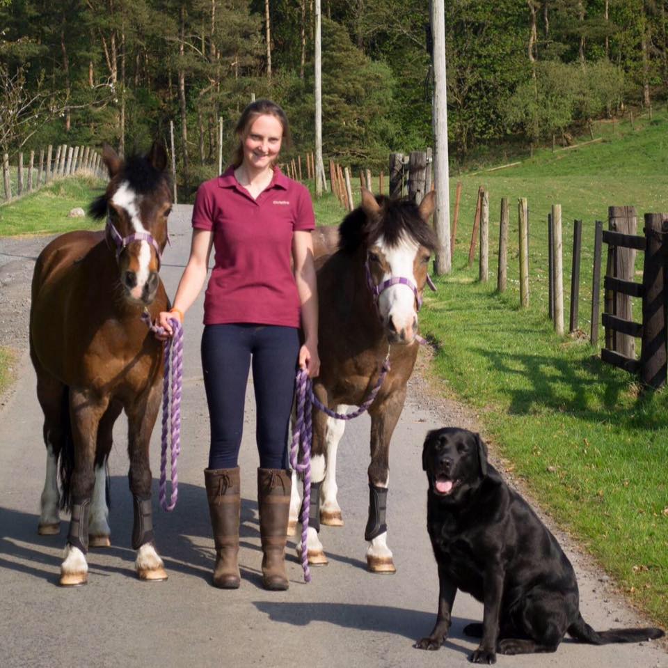 Cj Equine Services | Dumfries