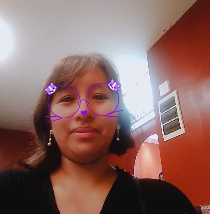 Elizabeth Flor Gomez Mendoza