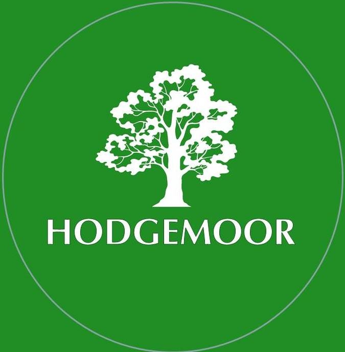 What's on Haytor and Ilsington | Horsey peeps ! Lost 1 scoot boot in ...