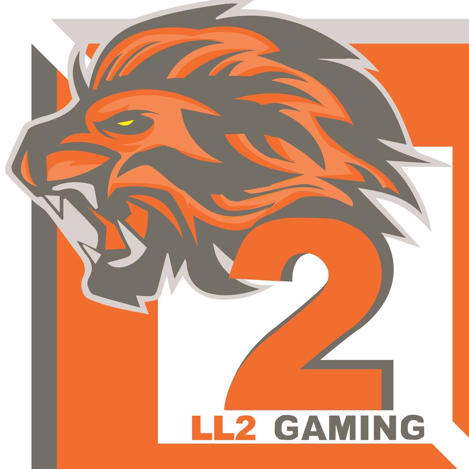 LL2 Gaming