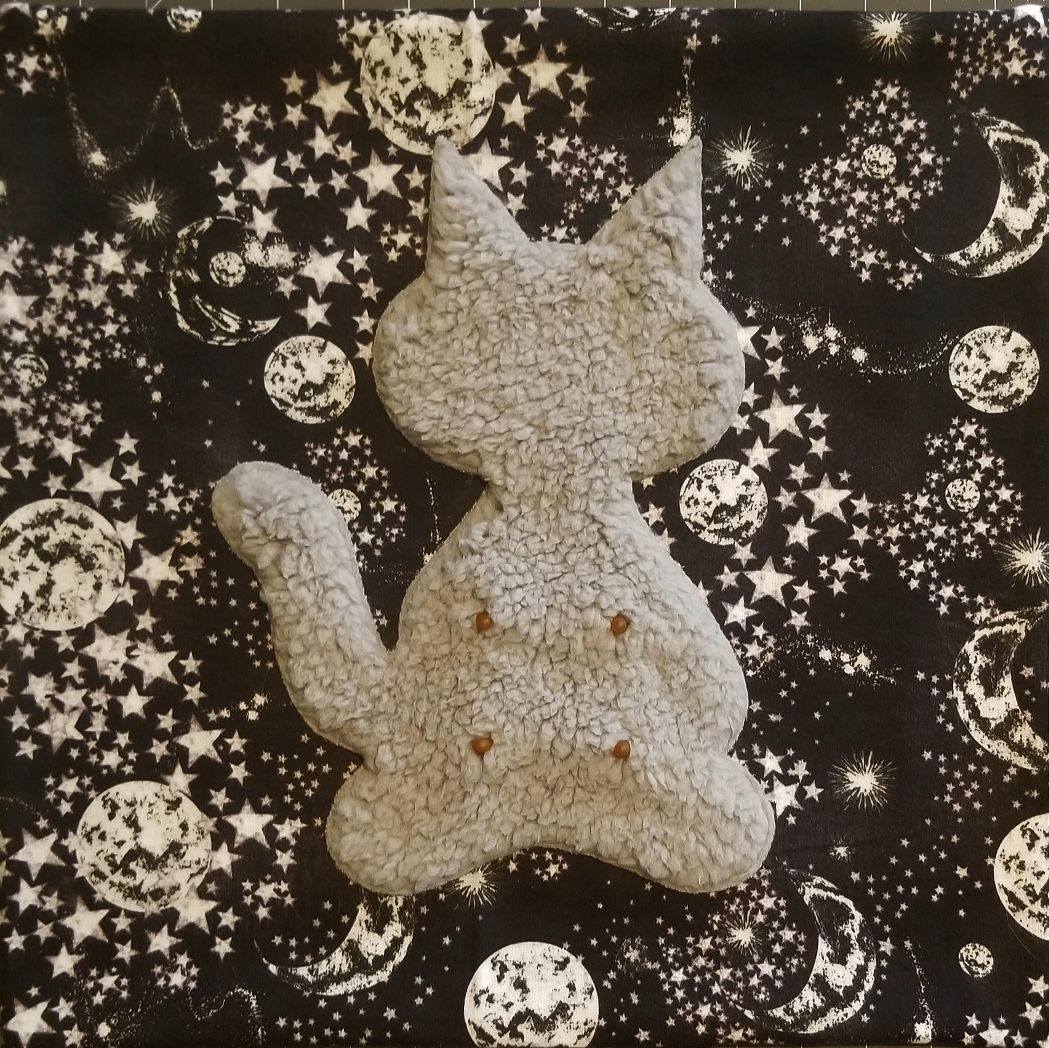 Catsifier
