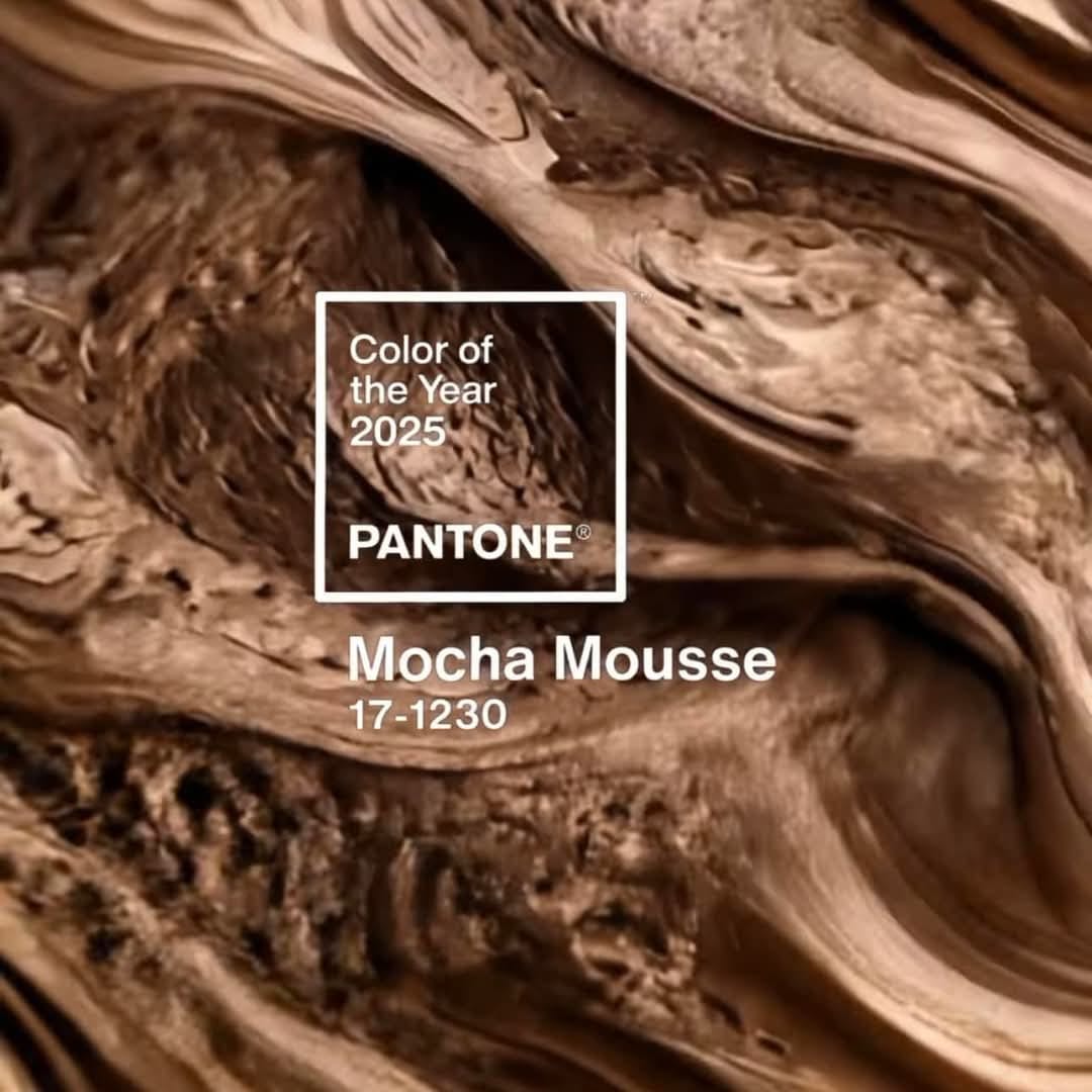 Curtains by Zyl - 2025 color of the year.🤎🤍🤎 #mochamousse...