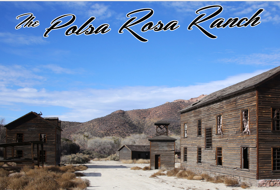 Polsa Rosa Ranch | Acton CA