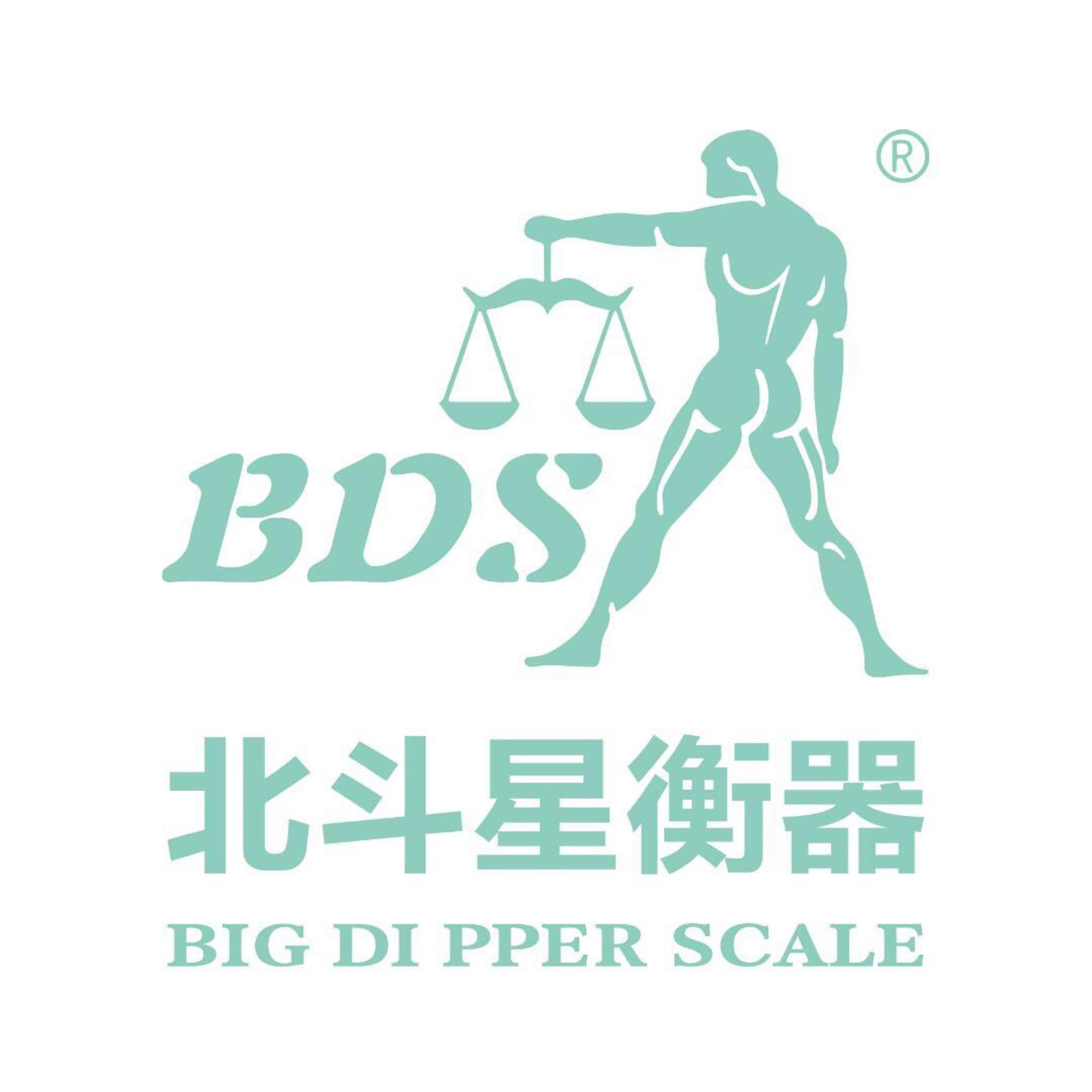DJ Electronic Balance Capacity: 2kg | Readability: 0.1g High precision ...