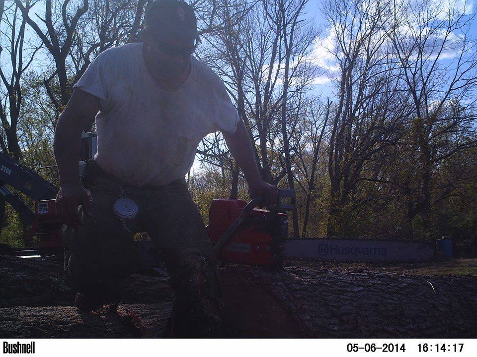 Prime x Logging & Land clearing | Frenchtown NJ
