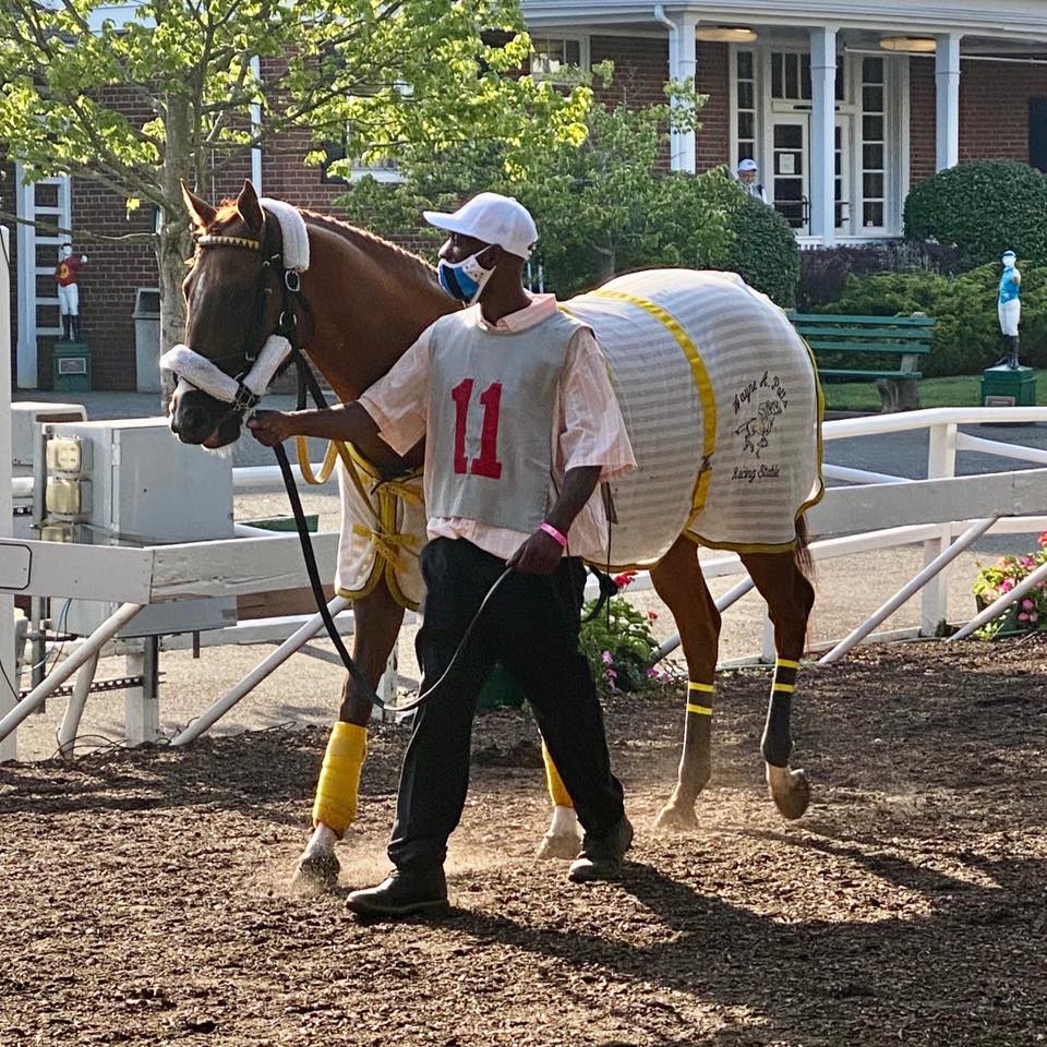 Wayne A. Potts Racing Stable | Elmont NY