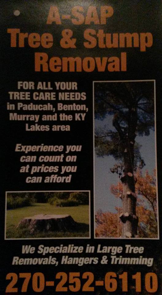 Asap Tree & Stump Removal | Benton KY