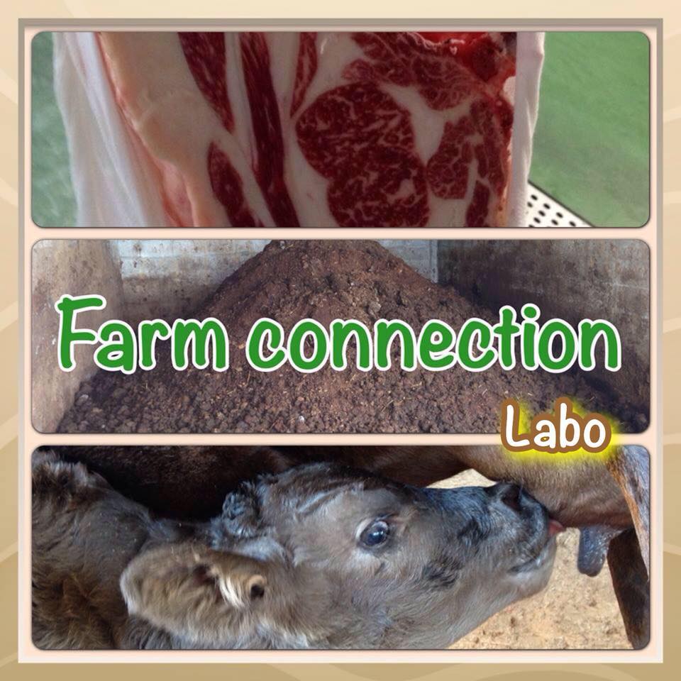 Farm connection - ファームコネクション