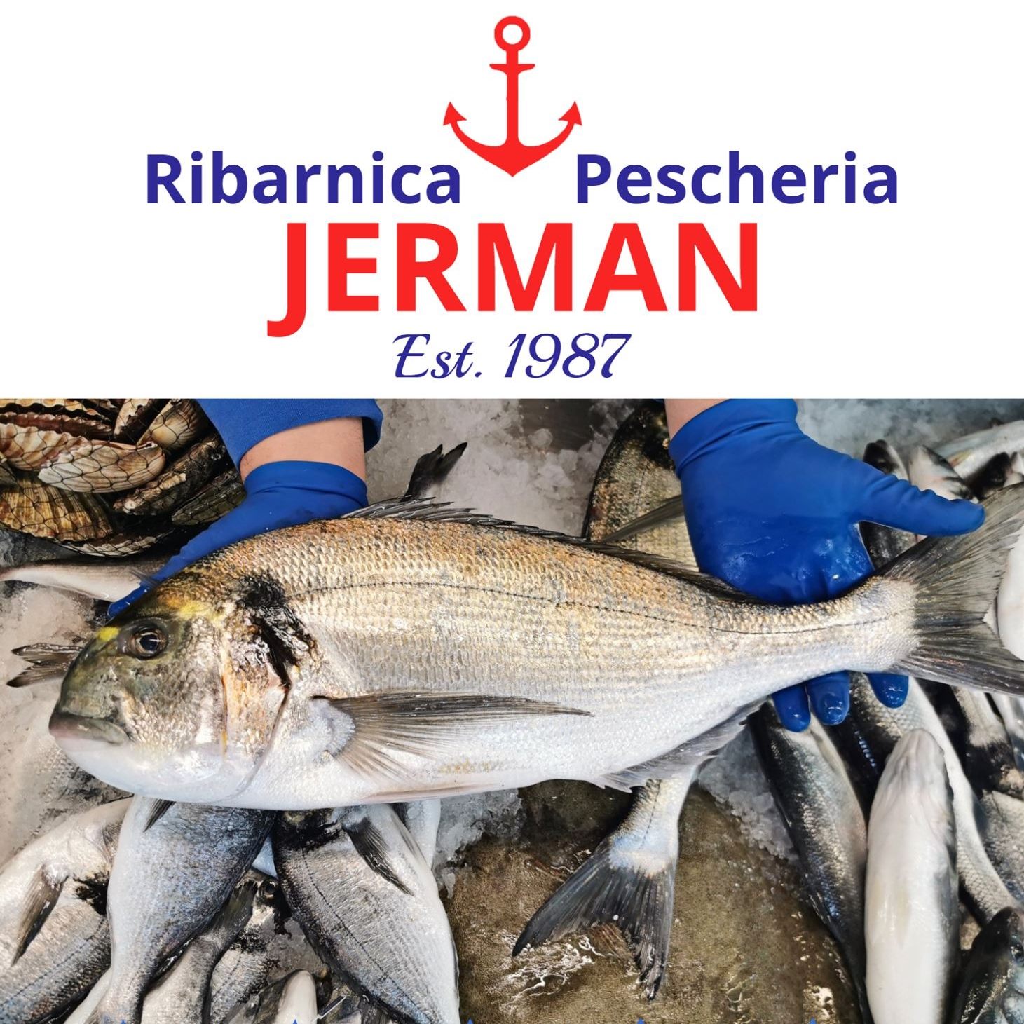 Ribarnica Jerman - DOSTAVA JADRANSKIH MORSKIH DOBROT V LJUBLJANO ...