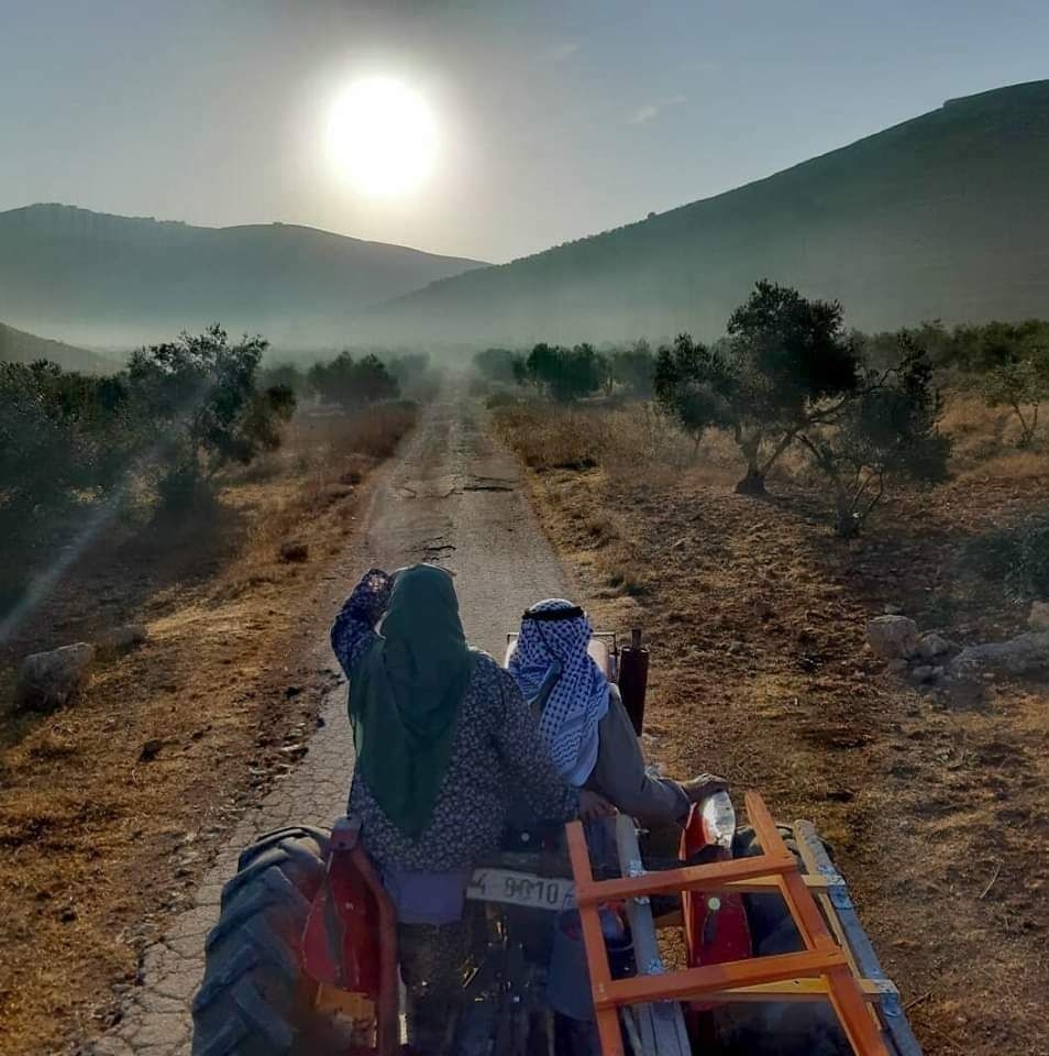 تراث من يطا