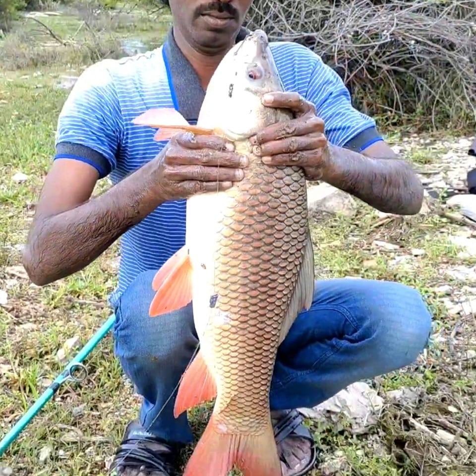 Fish Rahman
