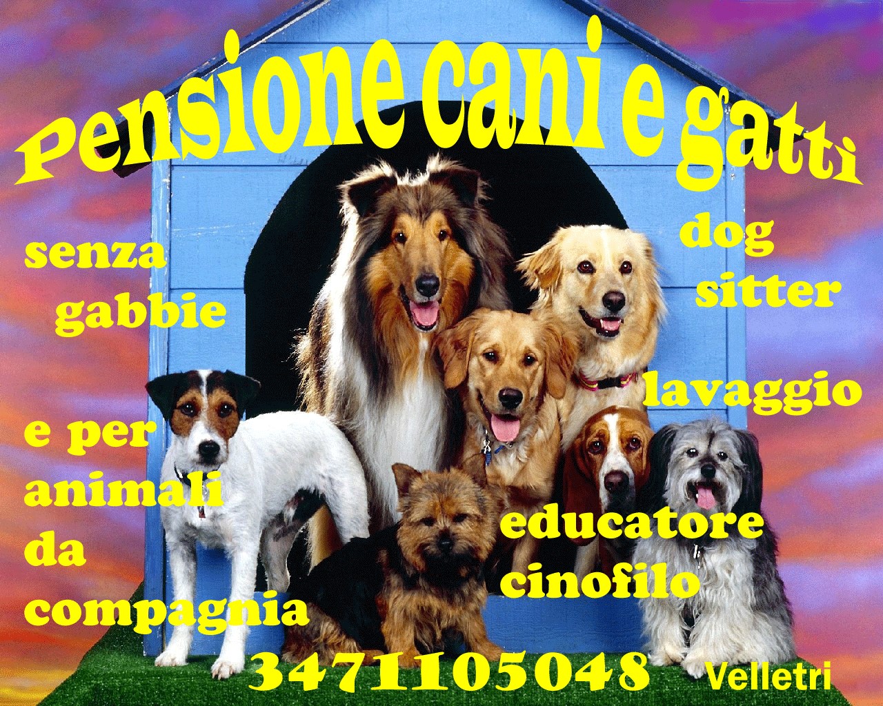Wash - Amami sempre non lasciarmi mai .....anche se il tuo cucciolo ...