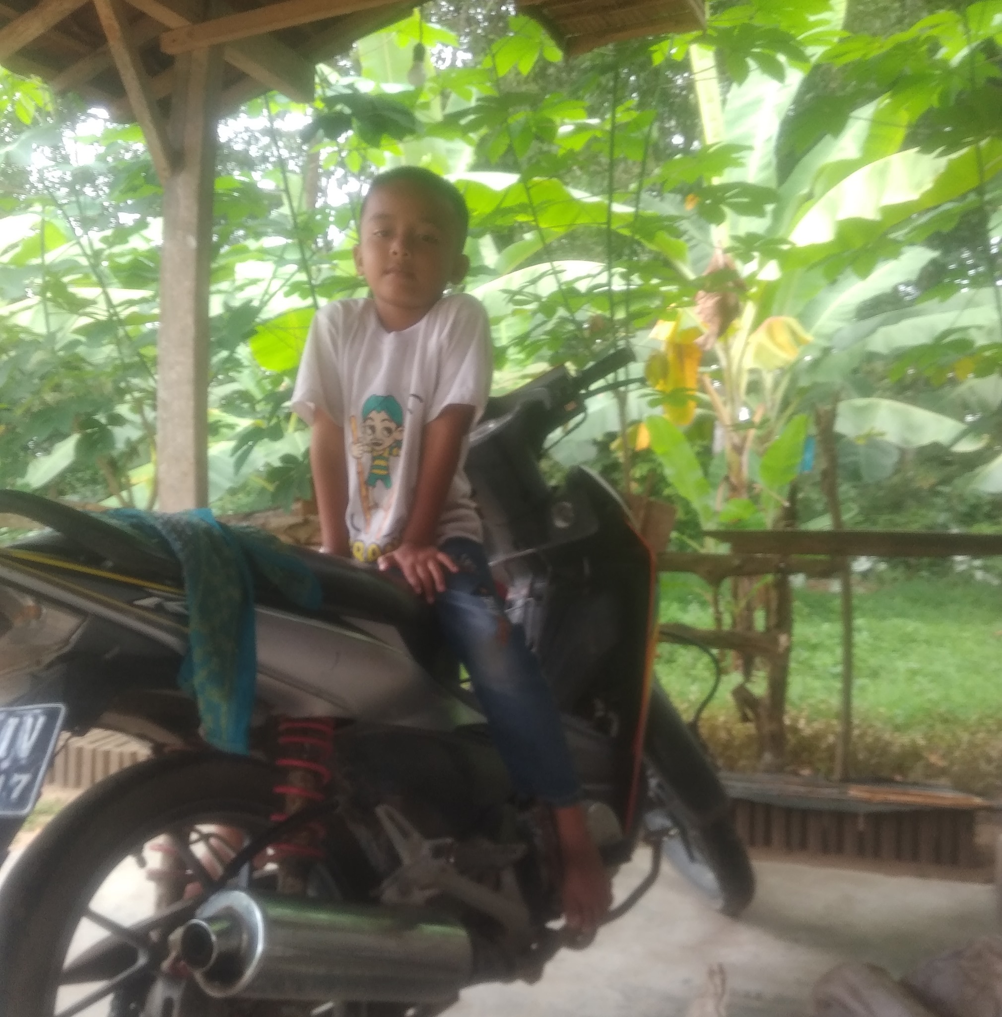 Cara menyuapi anakan burung jalak kebo #kicaumania #birds #birdlovers # ...