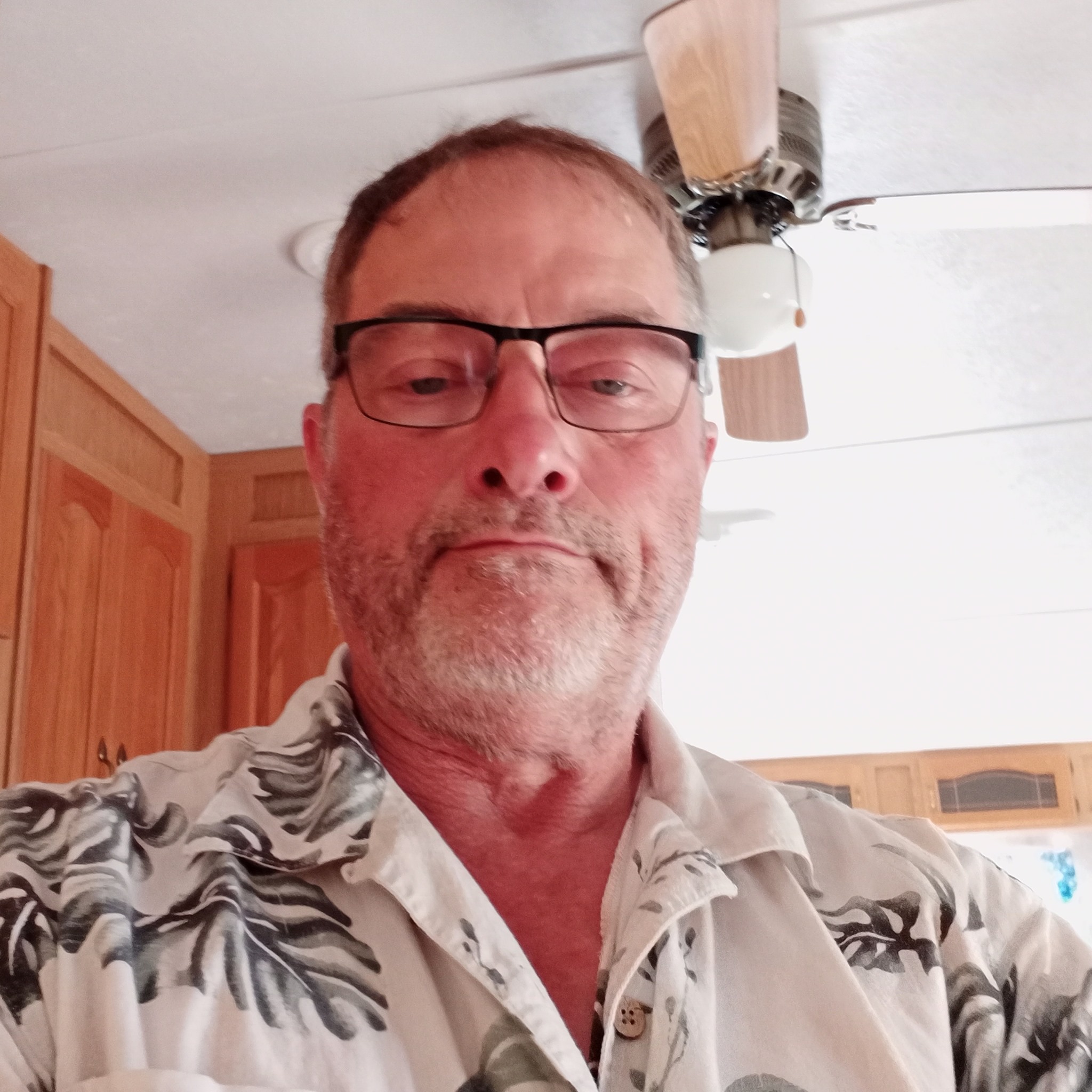 David Shelgren