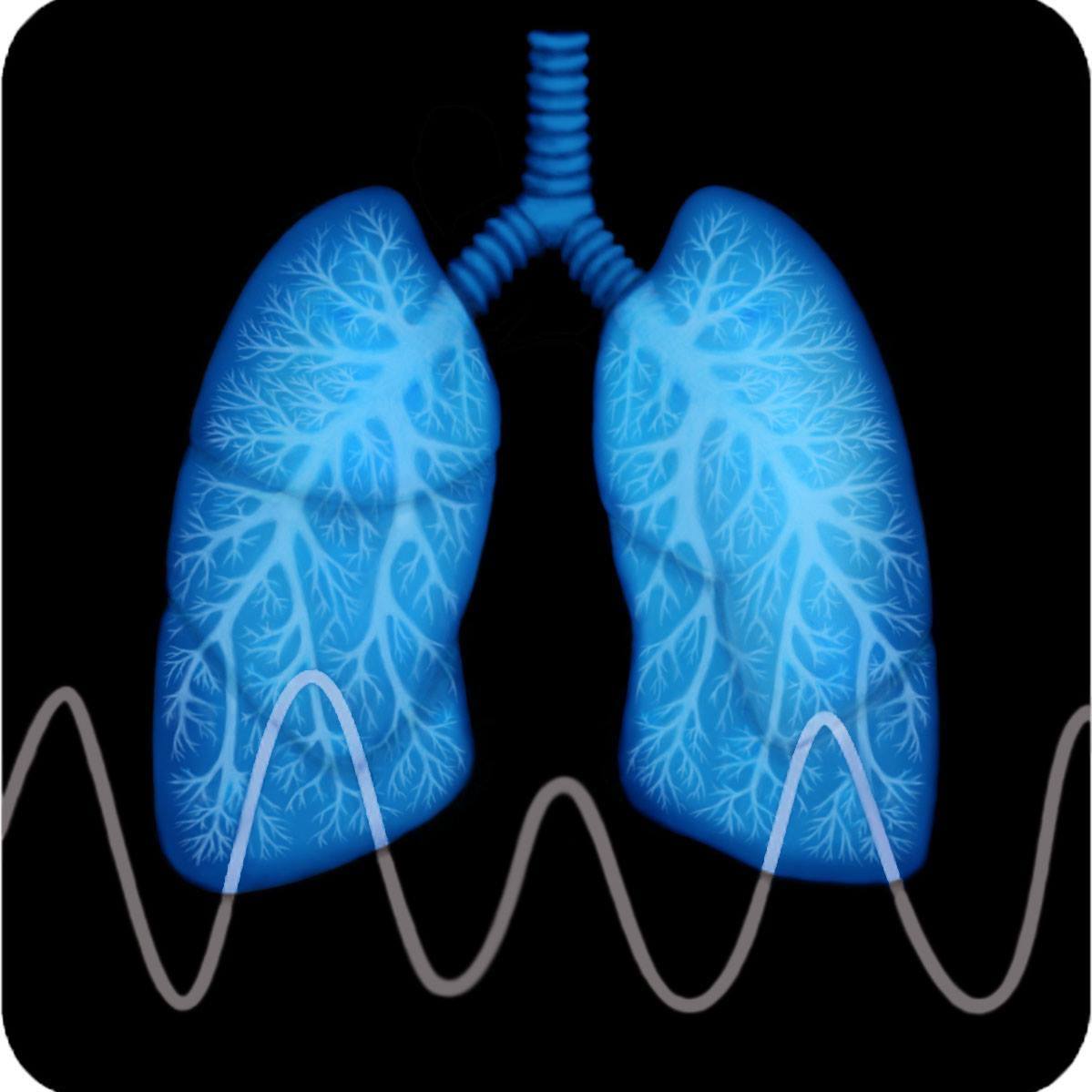RespiratoryMotion | Watertown MA