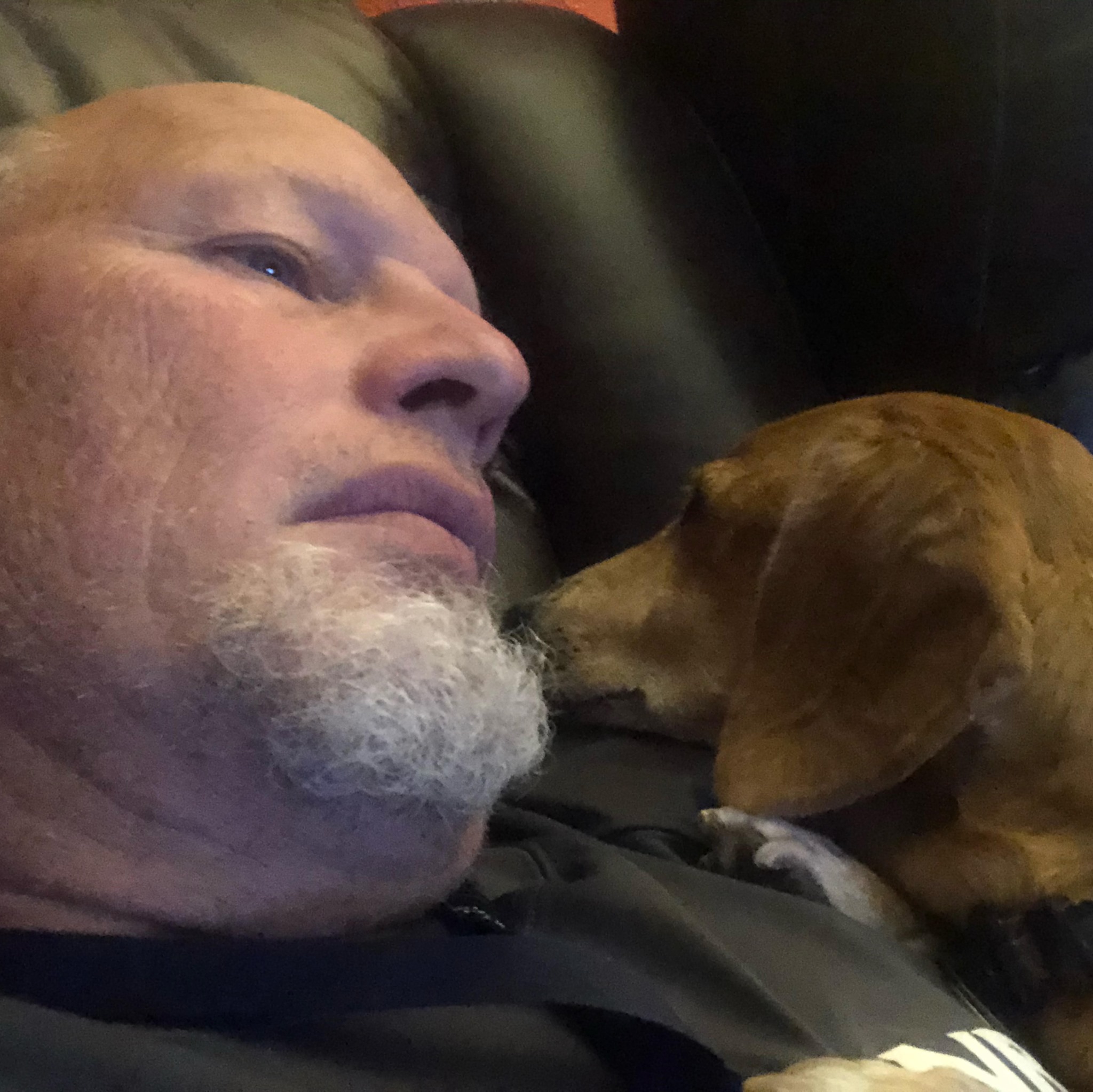 Robert Raley - Just an update on things in general. Dann... | Facebook