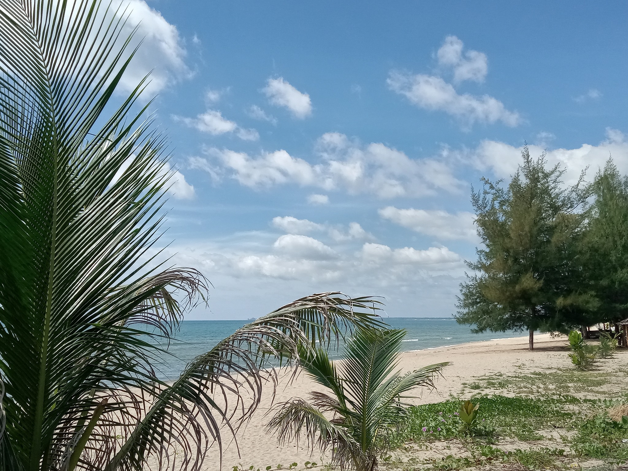 Life in Hua Hin | Hello, do you have Tops Daily wine cellar in Hua Hin ...