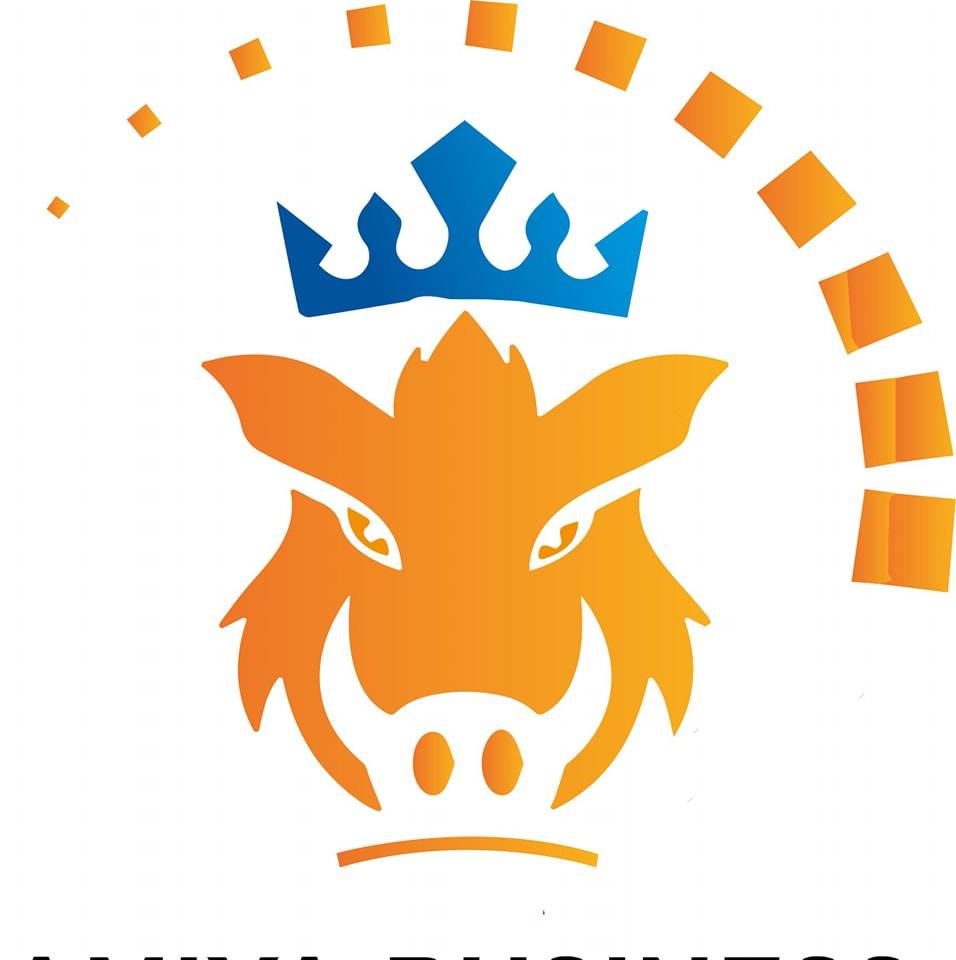 Une seule adresse: https://agence.amiyabusiness.com/?amiya_funnel ...
