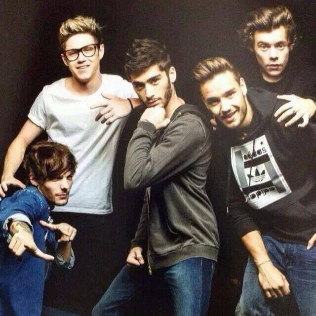 Fans of One Direction