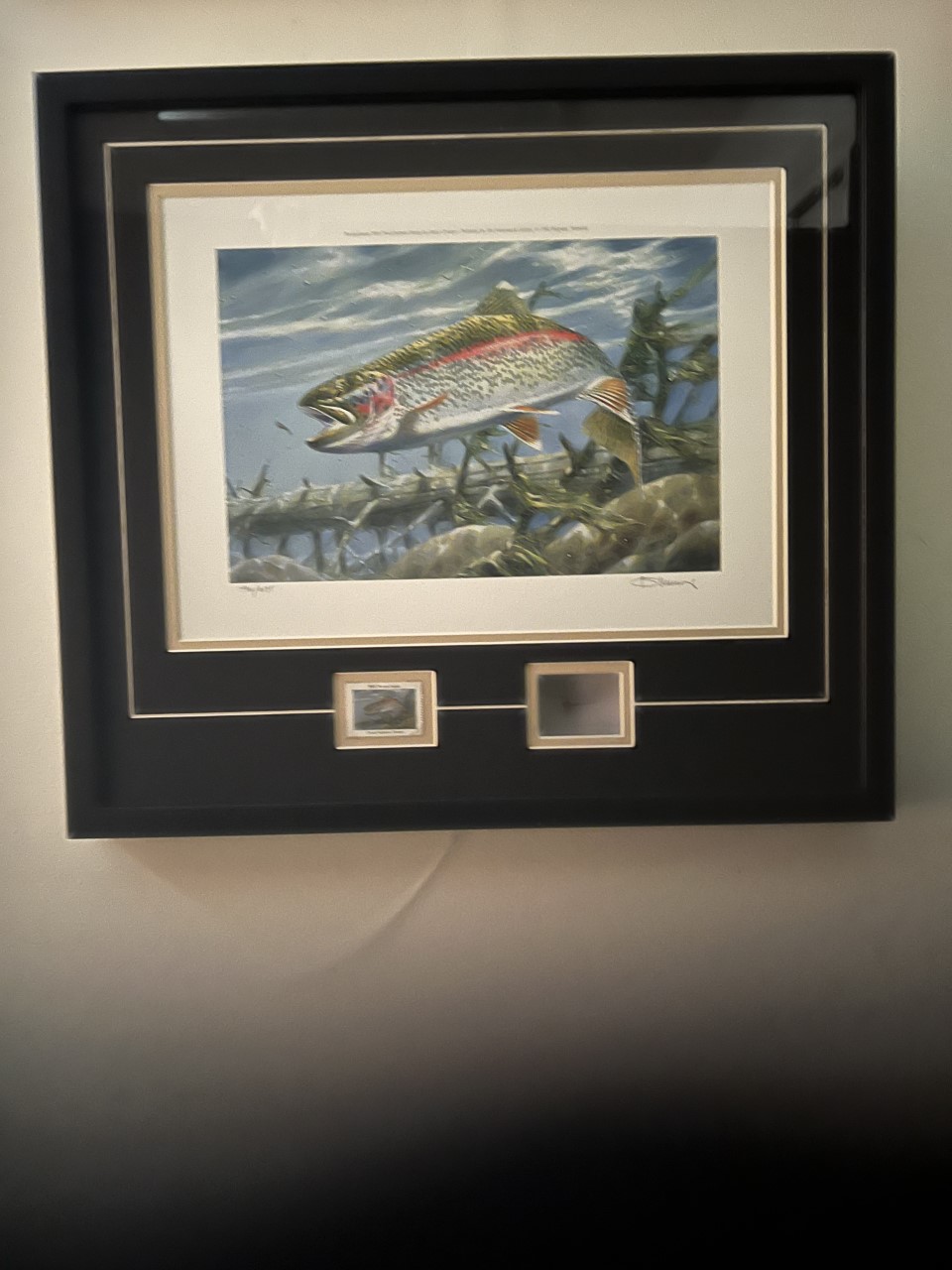 Frame Guy