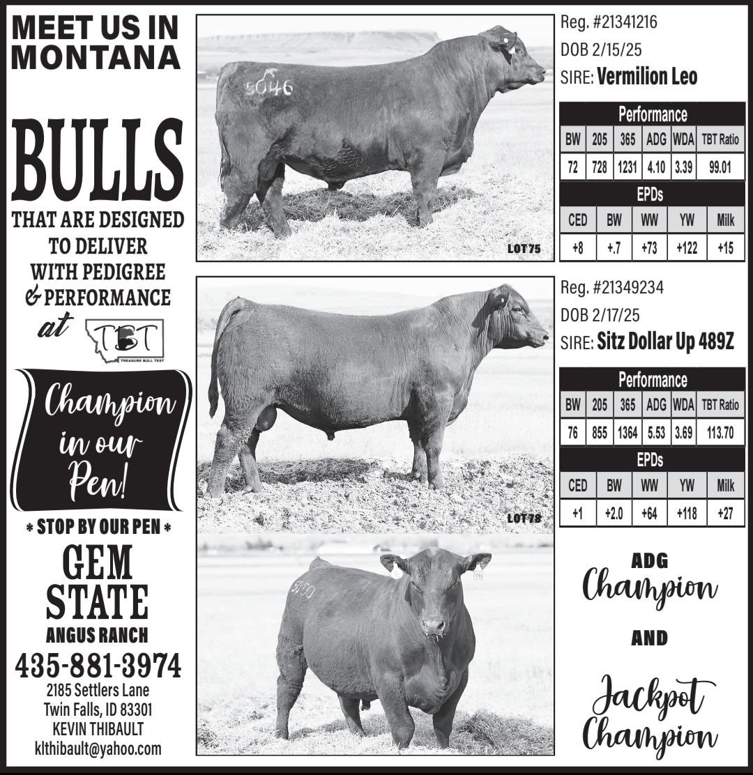 Gem State Angus Ranch | Jerome ID