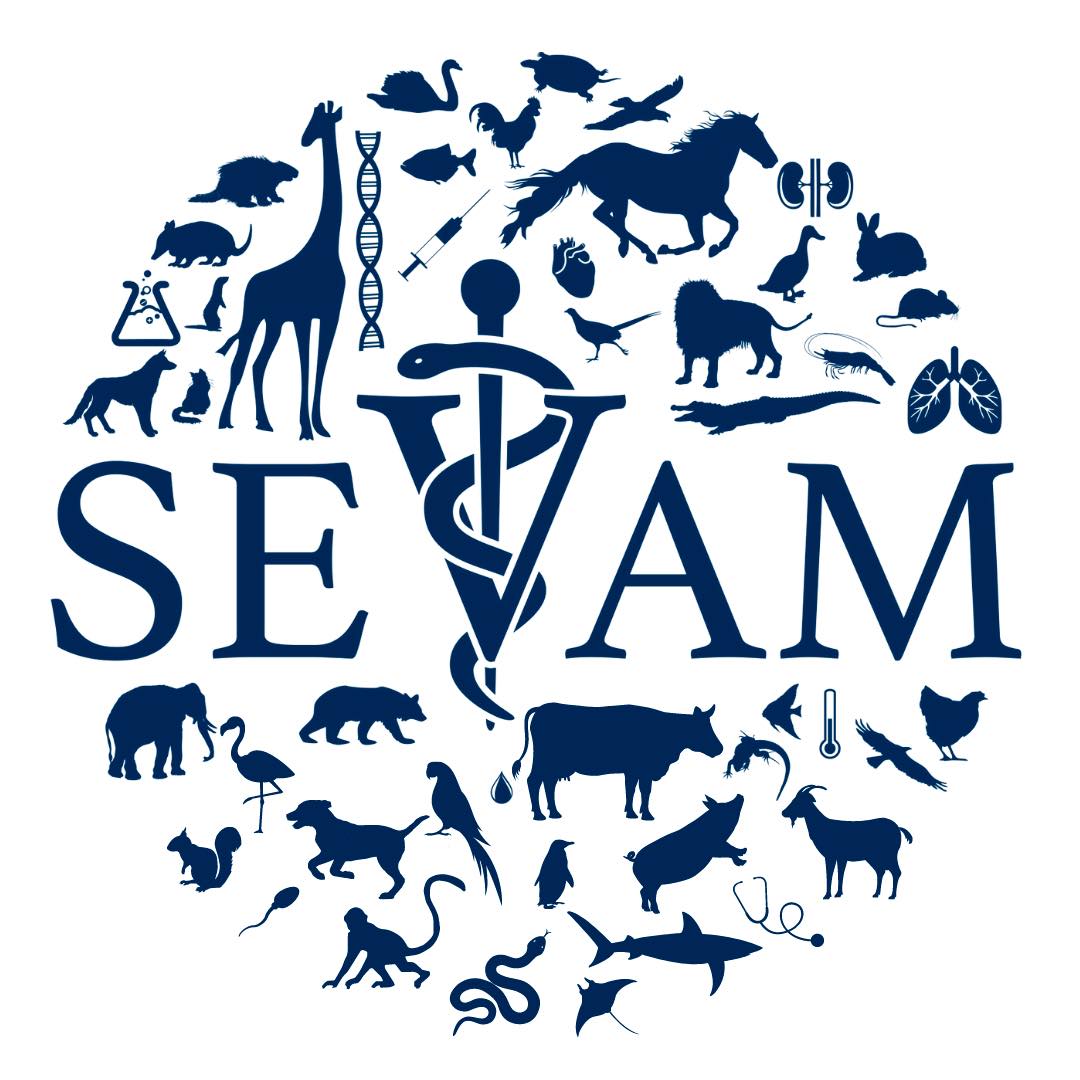 SEVAM - Semana de Extensão Veterinária da Anhembi Morumbi | São Paulo SP
