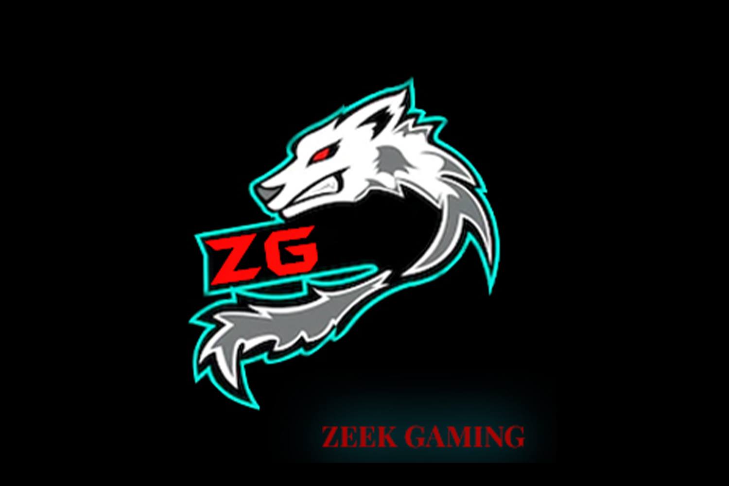 ZeeK Gaming