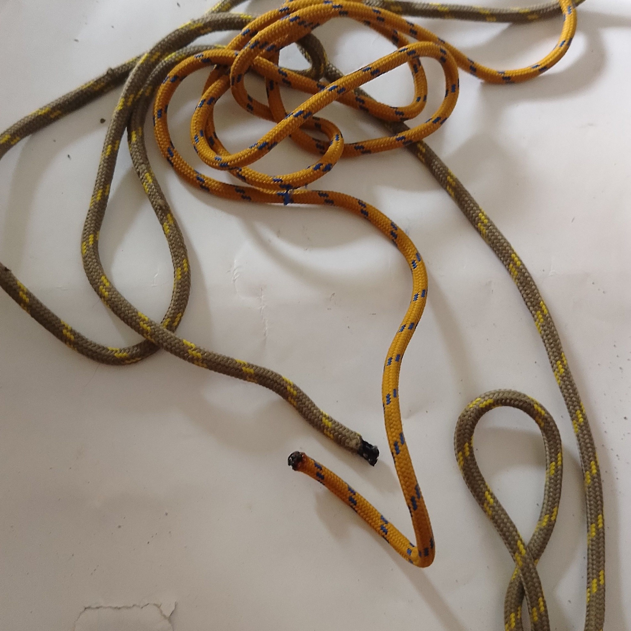 This knot can be tied around a tree trunk; where do you use it? | Knots US
