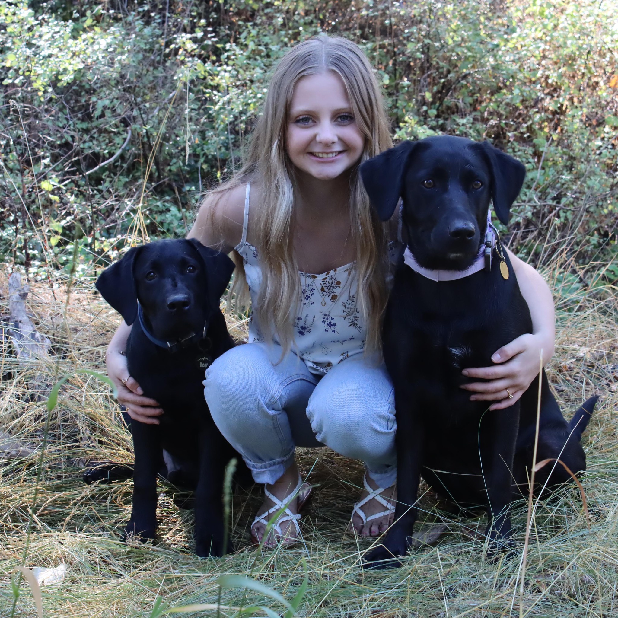 Spokane MARKET | Hello I am looking to learn how to start dog grooming ...