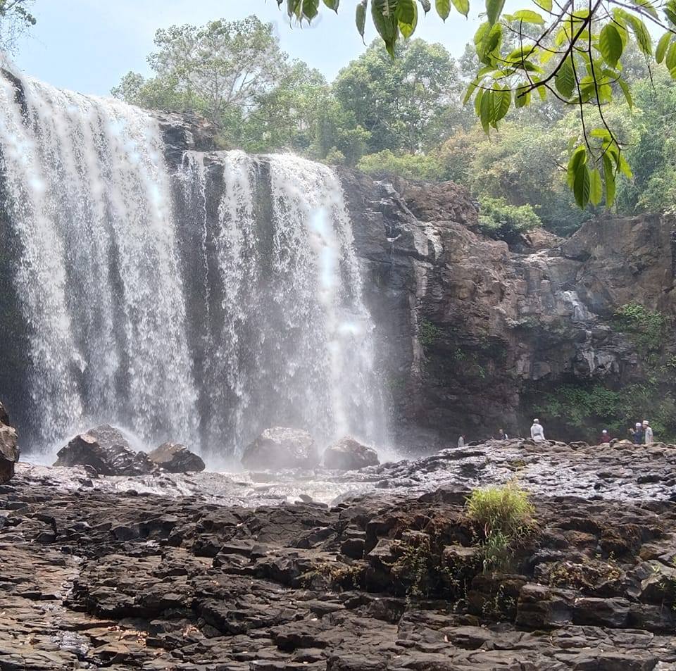 ខ្ពើម