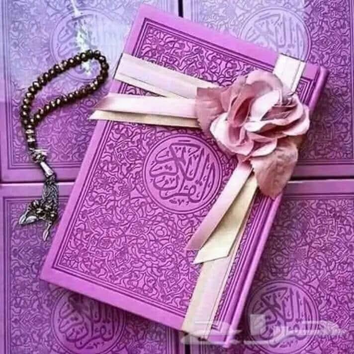 ابو زعبل الان | ‏في حد جرب البروجكتر بديل شاشة التلفزيون وهل هو عملي ...