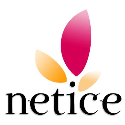 Netice | e-Portfolio