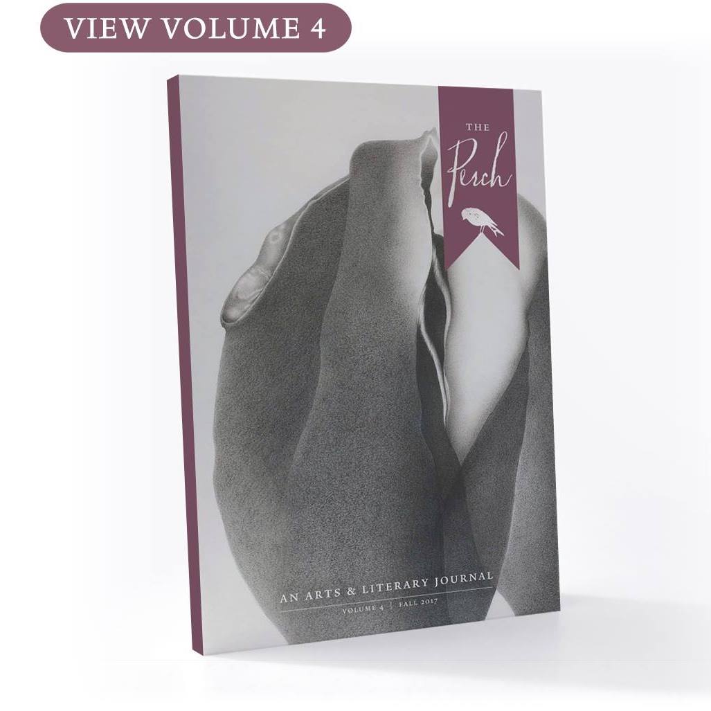 The Perch - Arts and Literary Journal