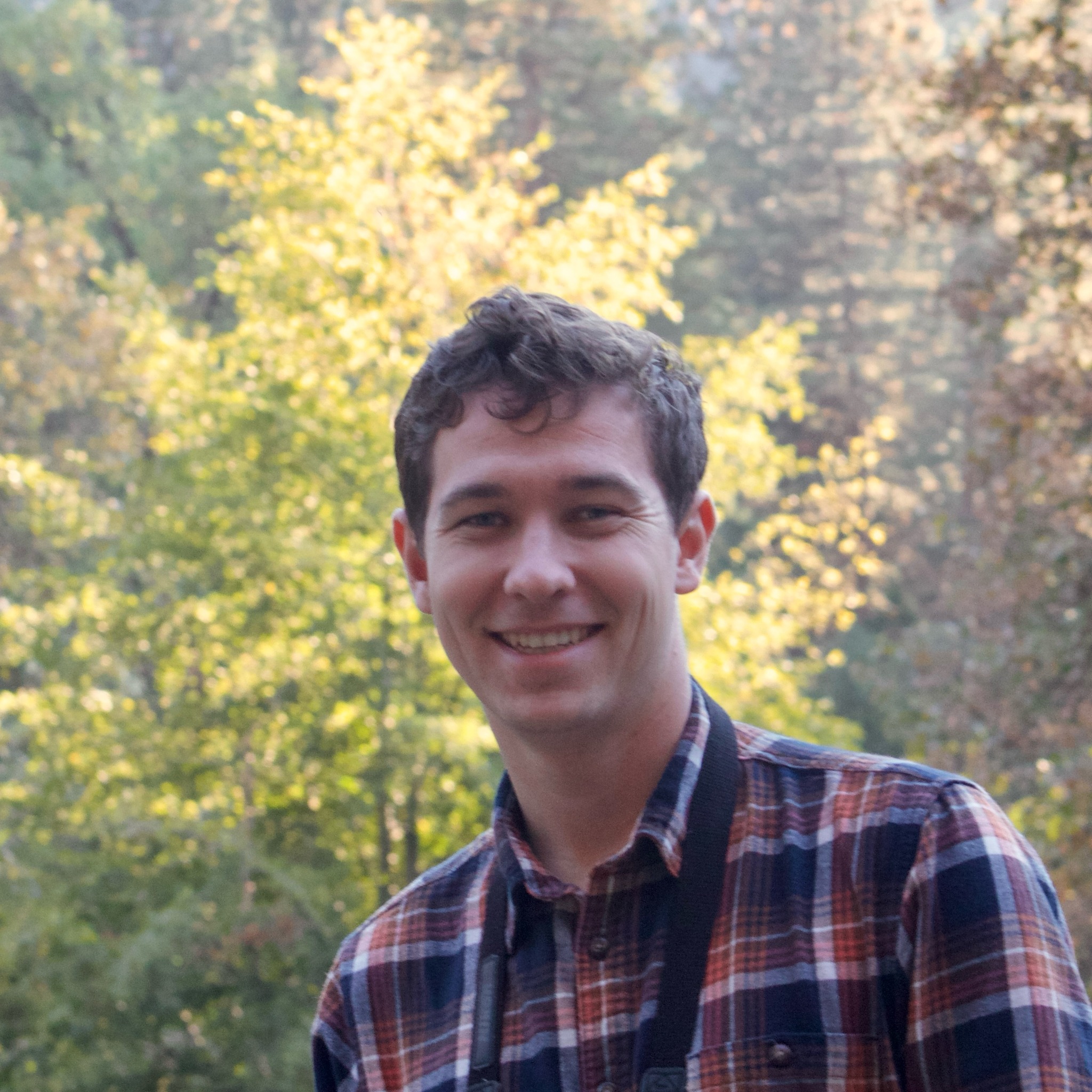 eBird community discussion group | I am new to trip reports and have ...