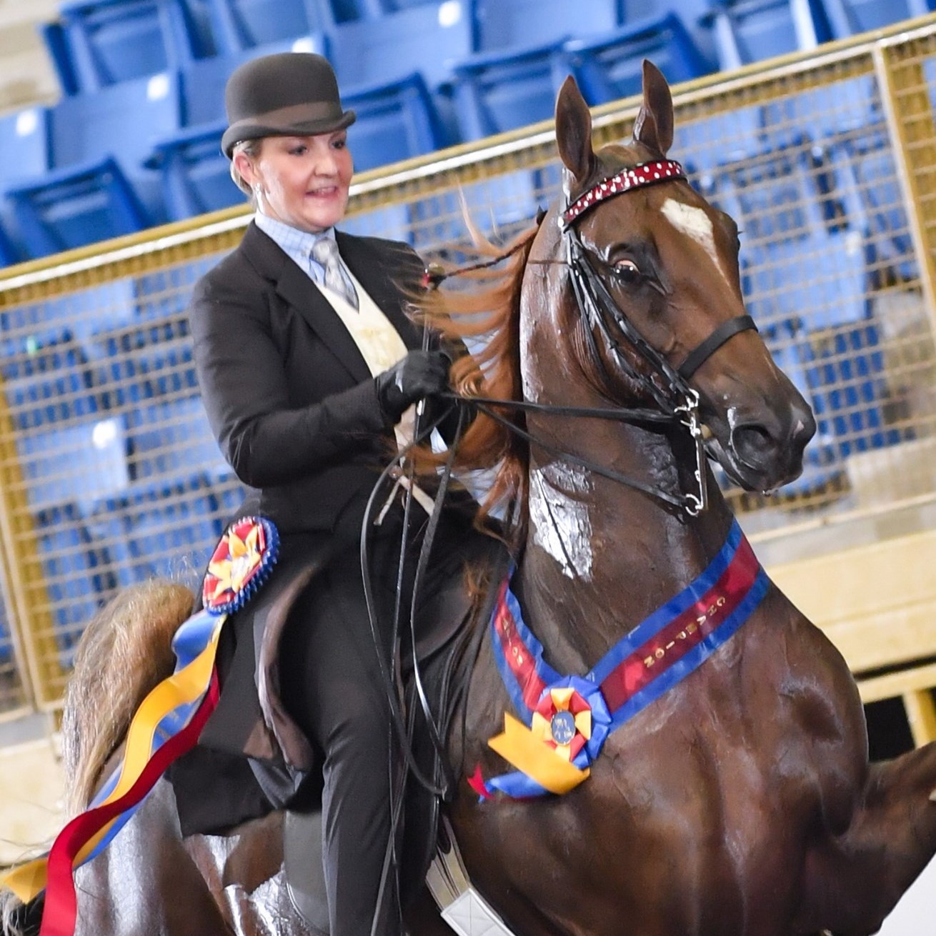 Denver Queen City Horse Show Denver CO