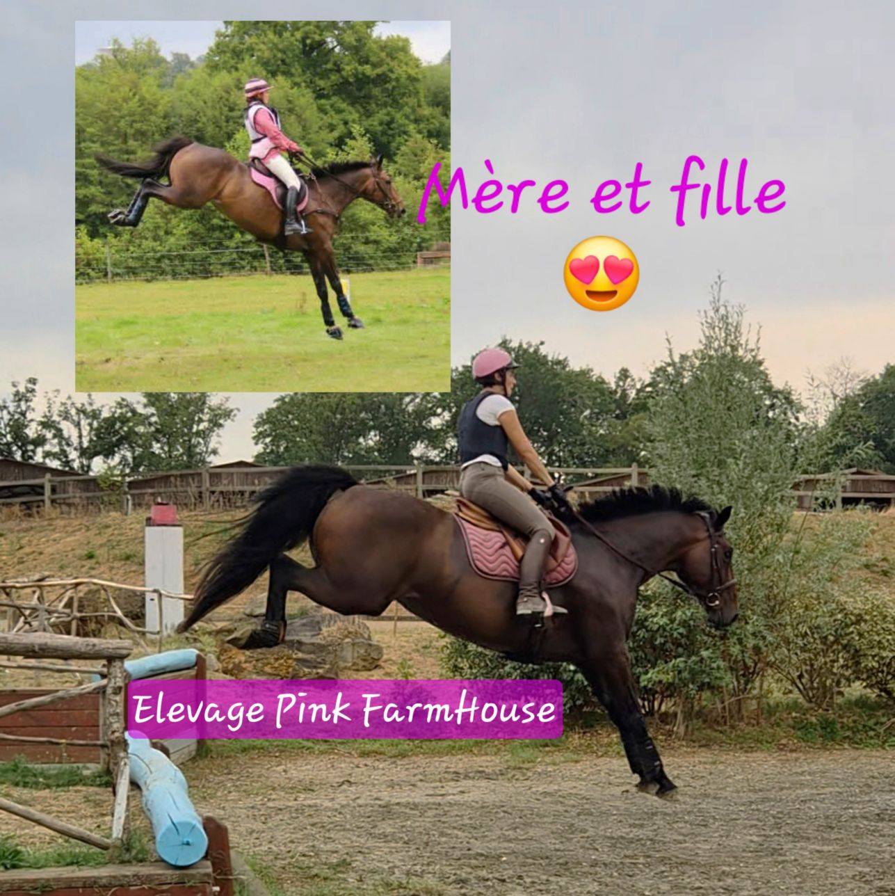 Miss Nono continue son apprentissage On est allée faire une petite ...