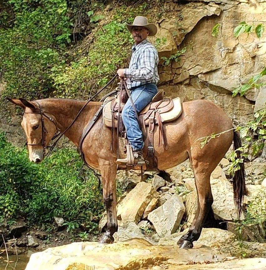 California Mules | Facebook