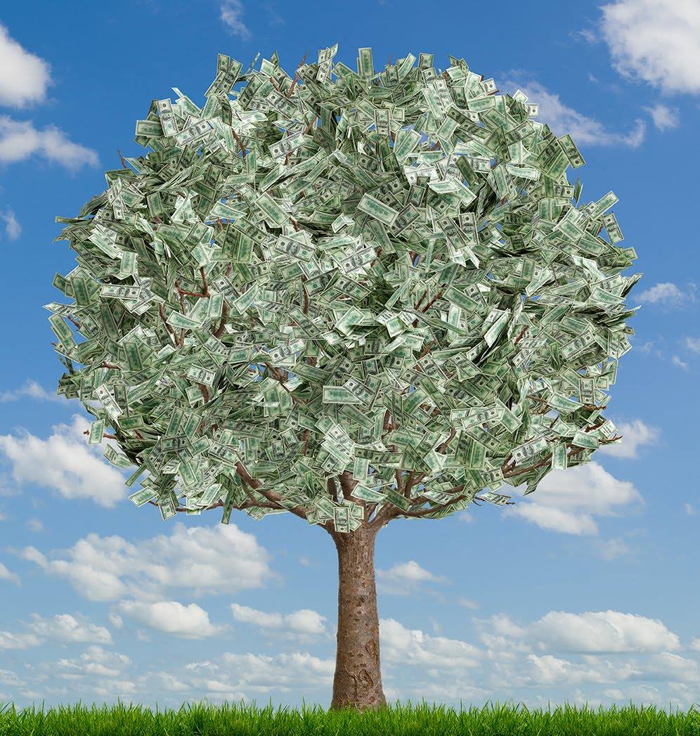 Family money tree