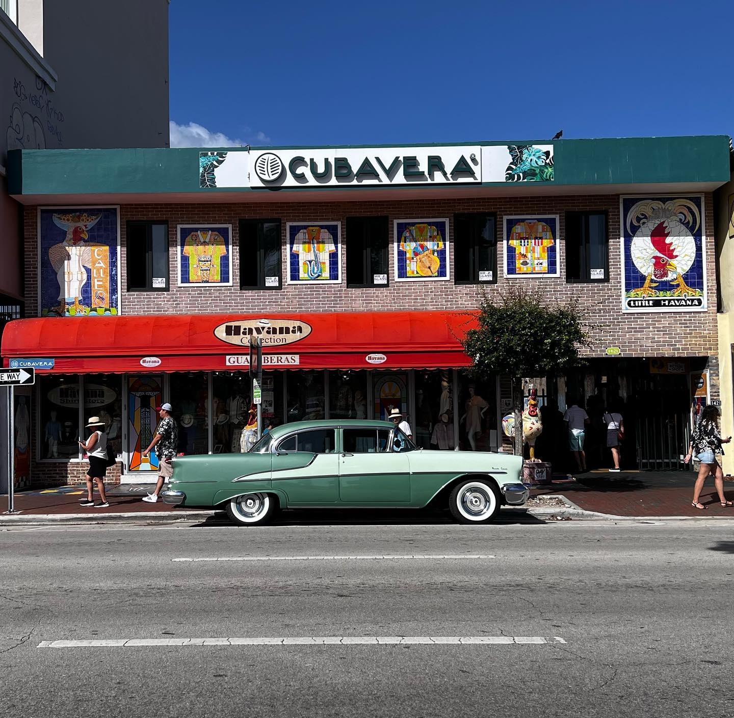 Havana Collection | Miami FL